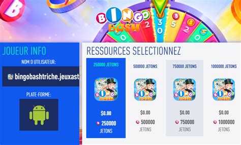 bingo montana triche|Bingo Pop Tips .